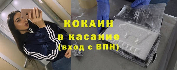 гидра Кодинск