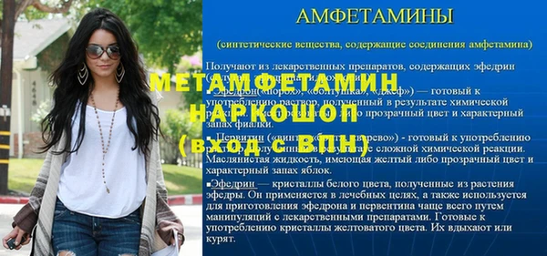 гидра Кодинск
