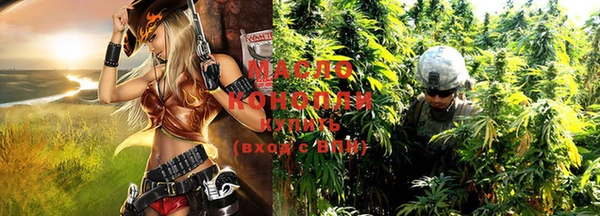 гашик Козельск