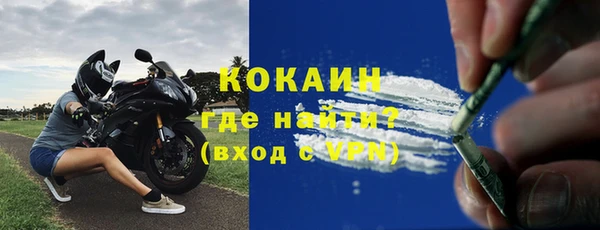 прущие грибы Козловка