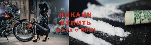гидра Кодинск