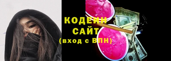 прущие грибы Козловка
