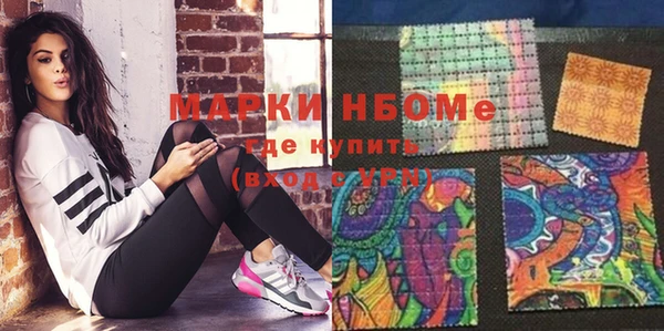 гидра Кодинск