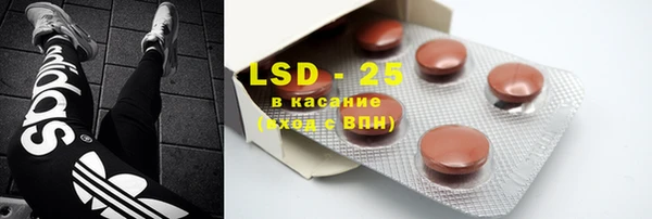прущие грибы Козловка
