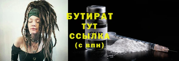 гидра Кодинск