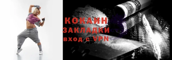 гашик Козельск