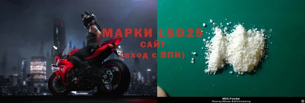 гидра Кодинск