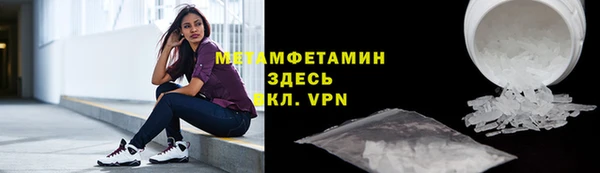 гидра Кодинск