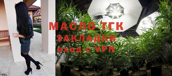 гидра Кодинск