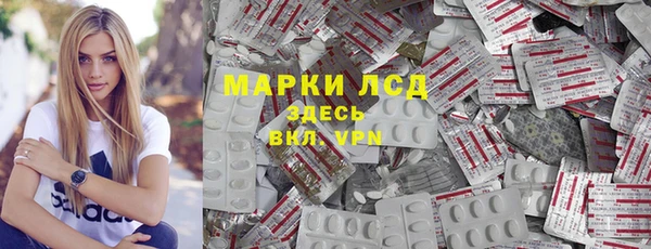 прущие грибы Козловка