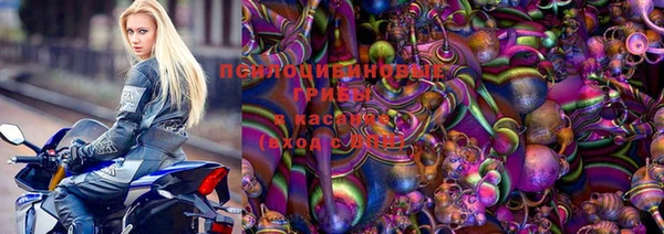 гашик Козельск