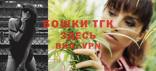 гидра Кодинск