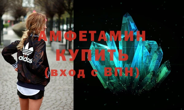 гашик Козельск