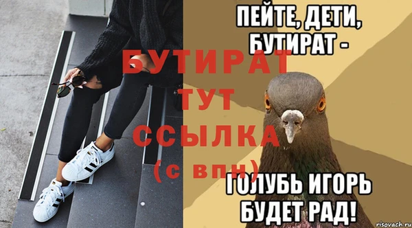 гашик Козельск