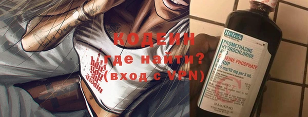 гидра Кодинск
