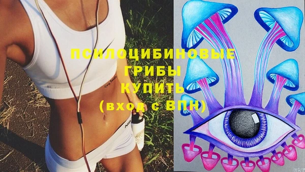 гидра Кодинск