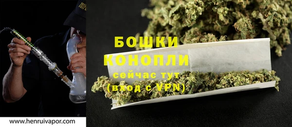 гашик Козельск