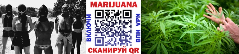 Бошки марихуана OG Kush  Инта 